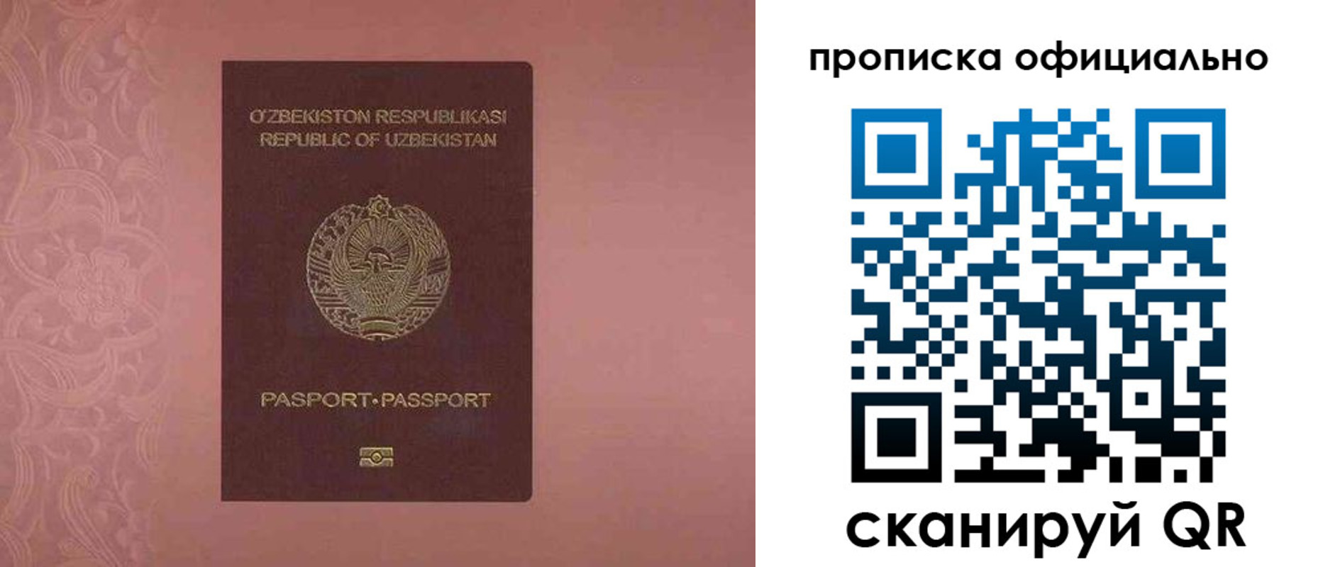 прописка гарантия в Райчихинске